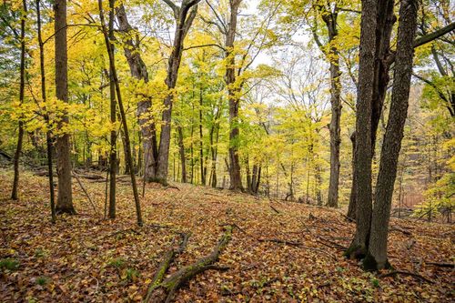 Lot 152 Pine Cone Lane, Woodland, WI, 53941 | Card Image