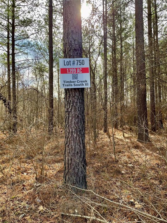 Land in Broken Bow 5