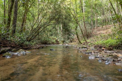 2.9 AC Chestnut Flats Rd, Andrews, NC, 28901 | Card Image
