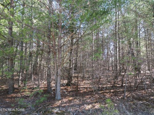 923 Paola Dr, Crossville, TN, 38572 | Card Image