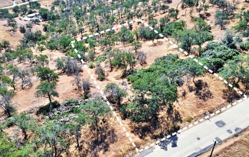 391 Sunflower Ln, Squaw Valley, CA, 93675 | Card Image