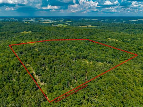 s-40-000 Berry Rd, Cabool, MO, 65689 | Card Image