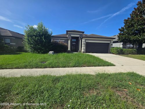 14282 Saltby Pl, Spring Hill, FL, 34609-0738 | Card Image