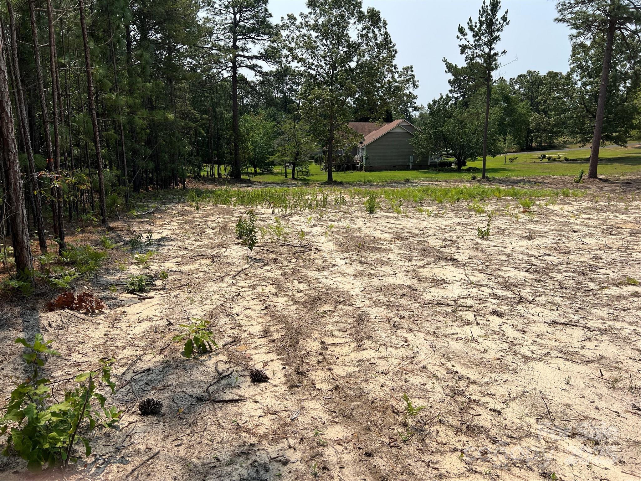 Land in Hartsville 5