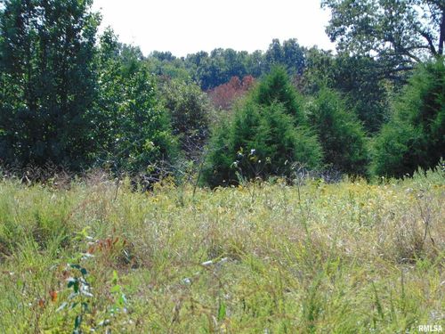 47 Wilkins Road, Harrisburg, IL, 62946 | Card Image