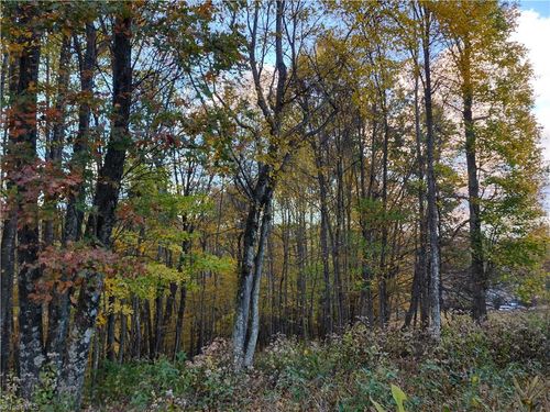 Lot 10 Hidden Valley Lane, Independence, VA, 24348 | Card Image