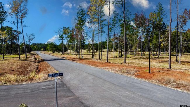 15538 Aniston Ln, Home with 0 bedrooms, 0 bathrooms and null parking in Flint TX | Image 16