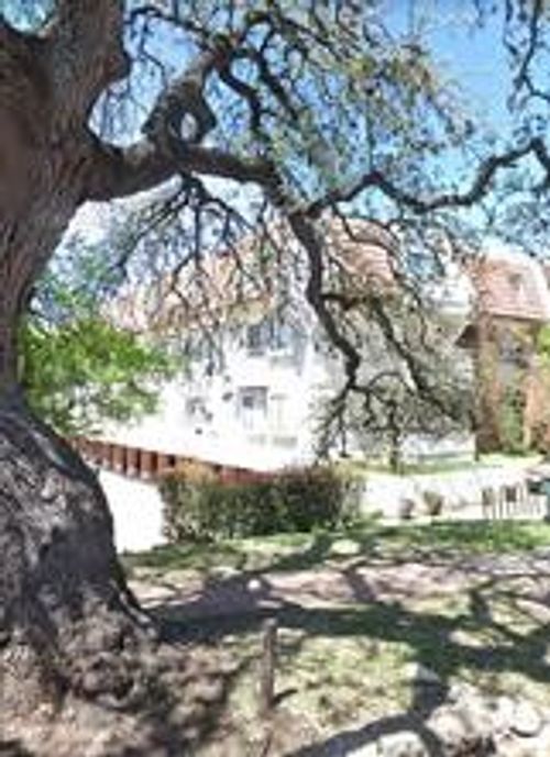 apt-313-3115 Helms St, Austin, TX, 78705-3056 | Card Image