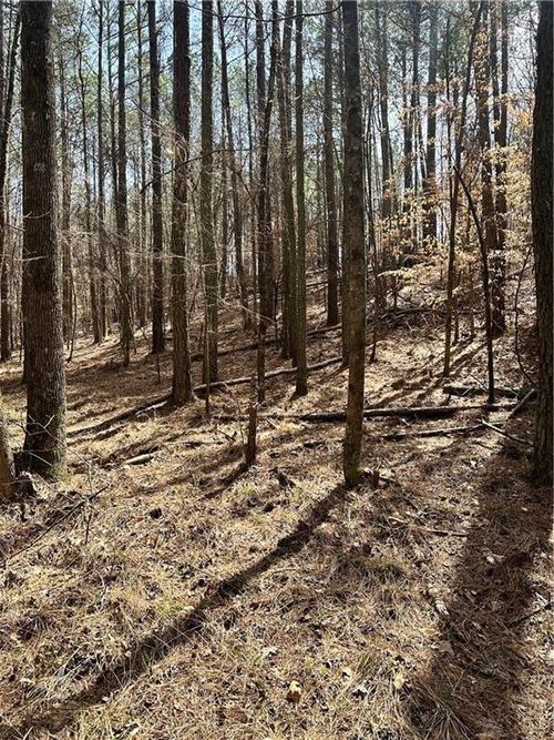 0 Autry Rd Sw, Plainville, GA, 30733 | Card Image