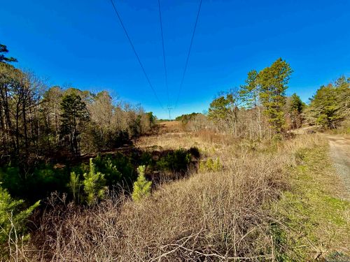 Lot 16 Chestnut Dr, Harleton, TX, 75651 | Card Image