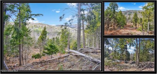 L17 Mountain Meadows Rd, Adirondack, NY, 12808 | Card Image