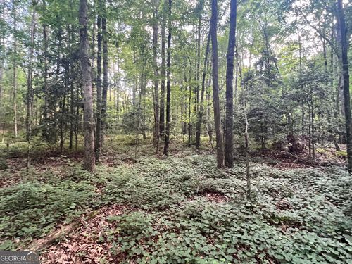 0 Craft Ferry Drive, Elberton, GA, 30635 | Card Image