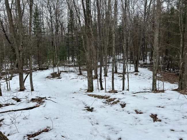 743 Woodlawn Rd, House other with 2 bedrooms, 1 bathrooms and null parking in Pickerel WI | Image 45