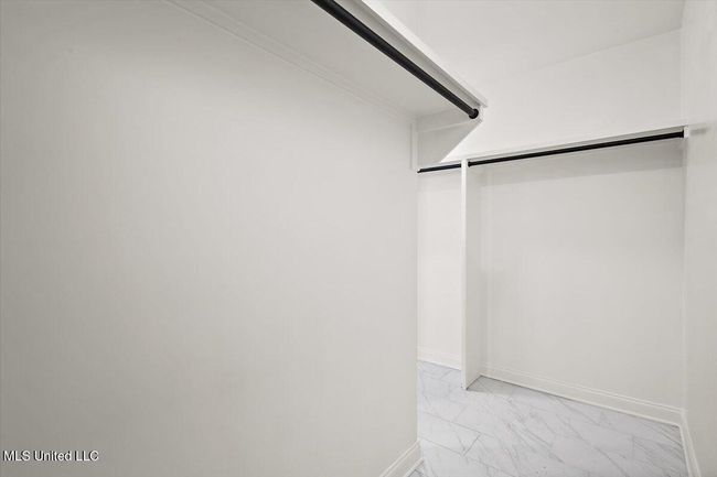 Panola | Image 23