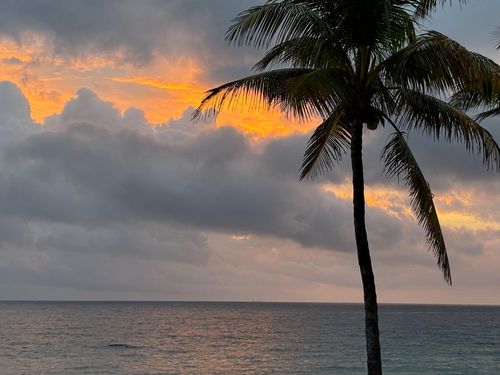 apt-2d-6000 N Ocean Blvd, Lauderdale By The Sea, FL, 33308-2343 | Card Image