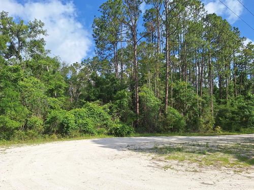 TBD 00 Ne 512th St, Old Town, FL, 32680 | Card Image