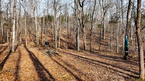 0000 Baxter Ridge Road, Lawrenceburg, KY, 40342 | Card Image