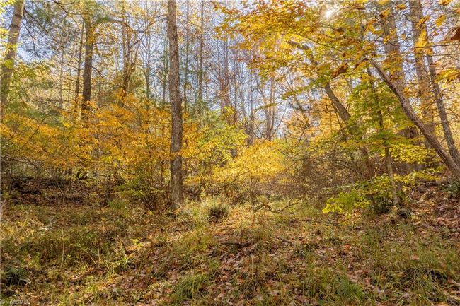 0 Laurel Creek Rd Ne, Home with 0 bedrooms, 0 bathrooms and null parking in Pilot VA | Image 18