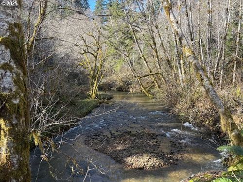 0 Steer Creek Rd, Blodgett, OR, 97326 | Card Image