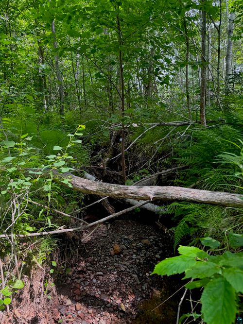 Lot 7 Snowshoe Tr, Tofte, MN, 55615 | Card Image