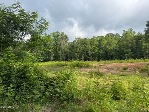 Tbd Hiddenwood Dr, Mountain City, TN, 37683 | Card Image