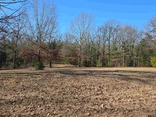 1191 County Road 3333, Omaha, TX, 75571 | Card Image