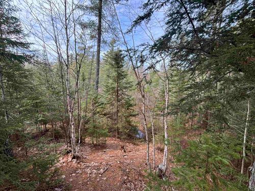 V/L 280A H-40, Hulbert Township, MI, 49780 | Card Image
