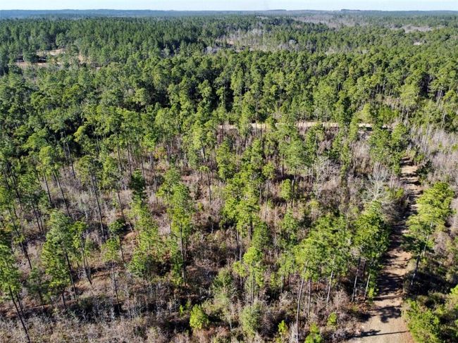 0 Robert White Rd, Home with 0 bedrooms, 0 bathrooms and null parking in Bay Minette AL | Image 4