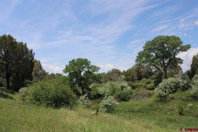 14433 2600 Rd, Home with 0 bedrooms, 0 bathrooms and null parking in Cedaredge CO | Image 34