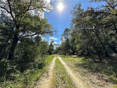 000 Ne 156th Ave, WILLISTON, FL, 32696 | Card Image