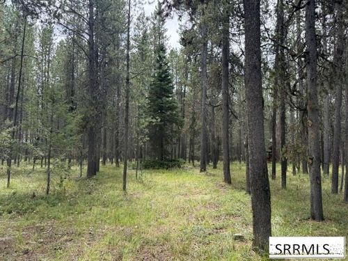 3807 Shoreline Dr, Island Park, ID, 83429-1225 | Card Image