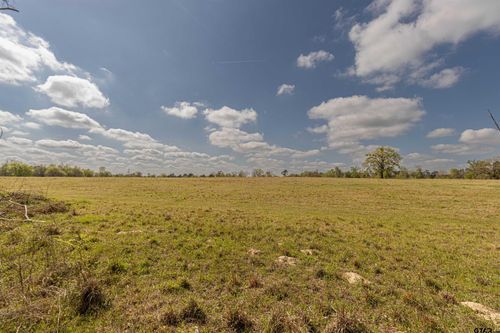 11810 County Road 3101, Winona, TX, 75792-6834 | Card Image