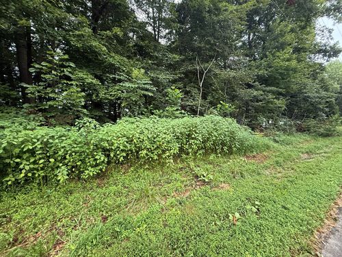 11 Pickett Ln, Jamestown, KY, 42629-2517 | Card Image