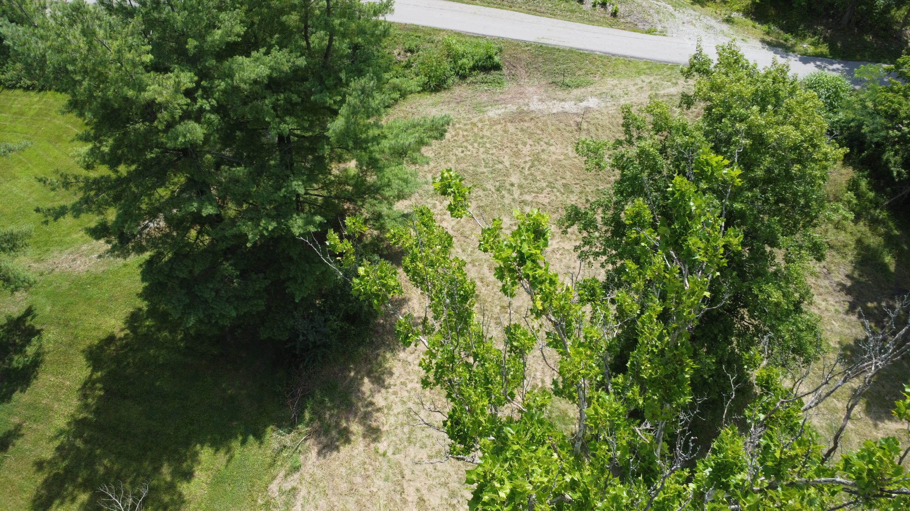 Land in Burlington 3