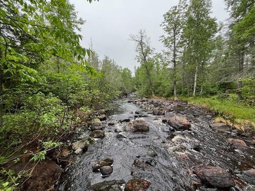 xxxx Crown Creek Spur Road, Finland, MN, 55603 | Card Image