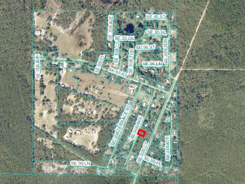 0 Se 309th Ave, ALTOONA, FL, 32702 | Card Image