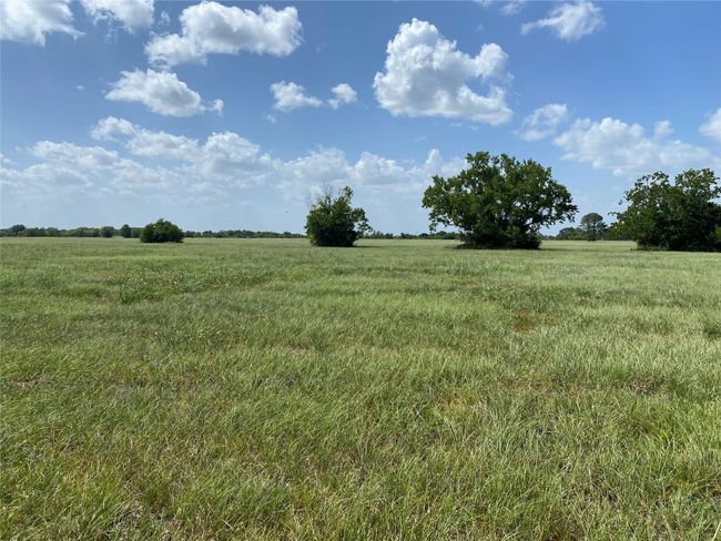 504 Brahman Trl, Home with 0 bedrooms, 0 bathrooms and null parking in Angleton TX | Image 8