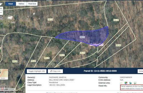 TBD Mill Creek Rd, Charmco, WV, 25958 | Card Image