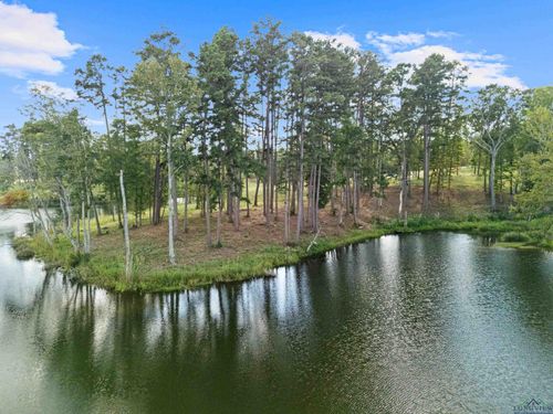 Lot 5 Tbd Granite Ln., Hallsville, TX, 75650 | Card Image