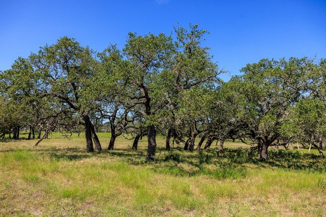 2250 Otte Rd, Home with 2 bedrooms, 2 bathrooms and 2 parking in Stonewall TX | Image 28