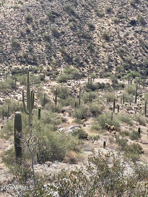 --3246 N Silver Tip Trl, Queen Valley, AZ, 85118-7442 | Card Image