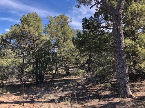 0.24 Acre Portion Of Lot 70, Tres Piedras, NM, 87577 | Card Image