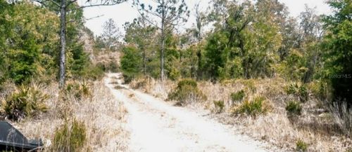0 Ne 61st Ln, WILLISTON, FL, 32696 | Card Image