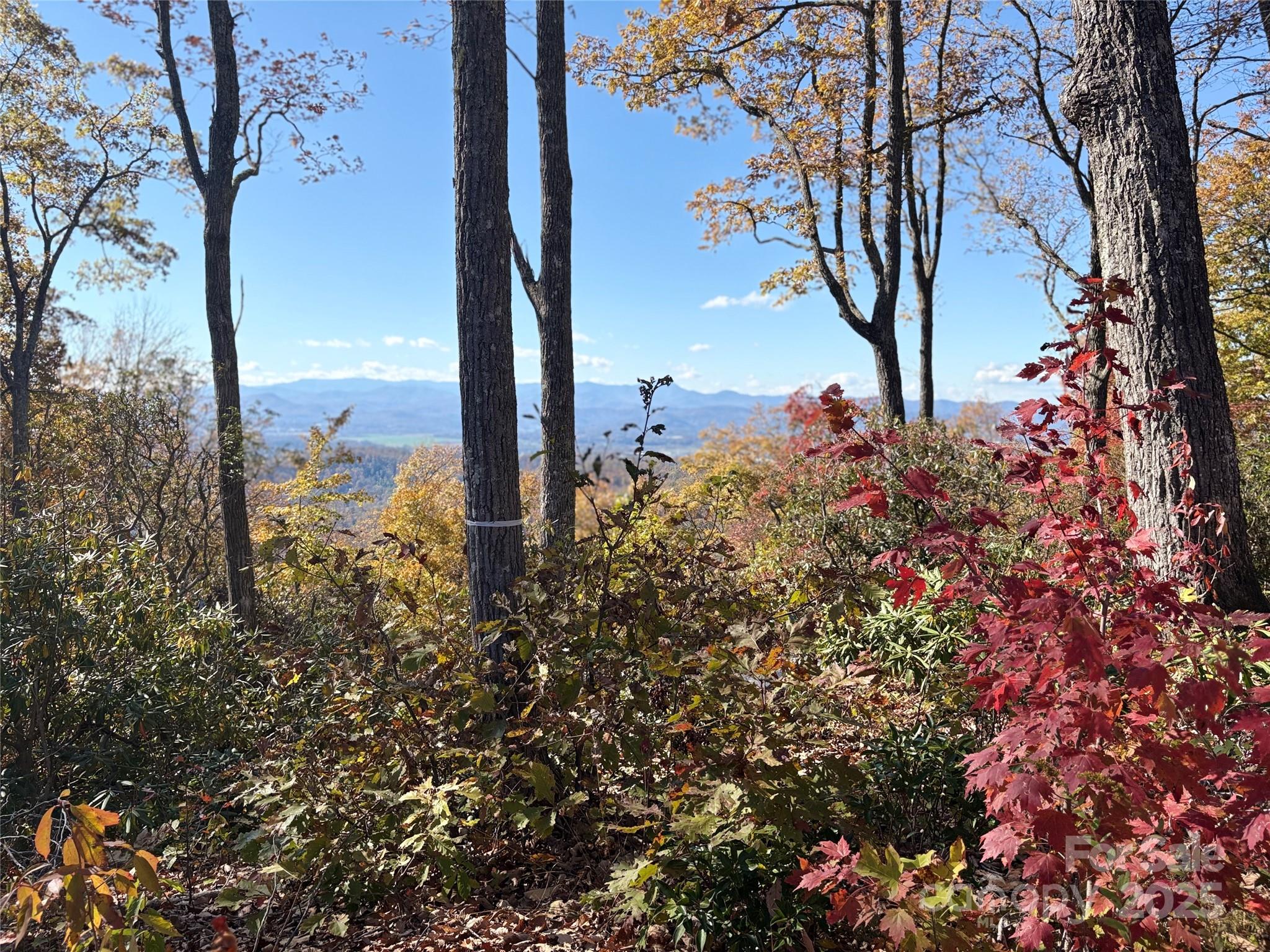 Land in Fletcher 3