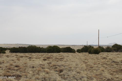 21 County Road 8004, Concho, AZ, 85924 | Card Image