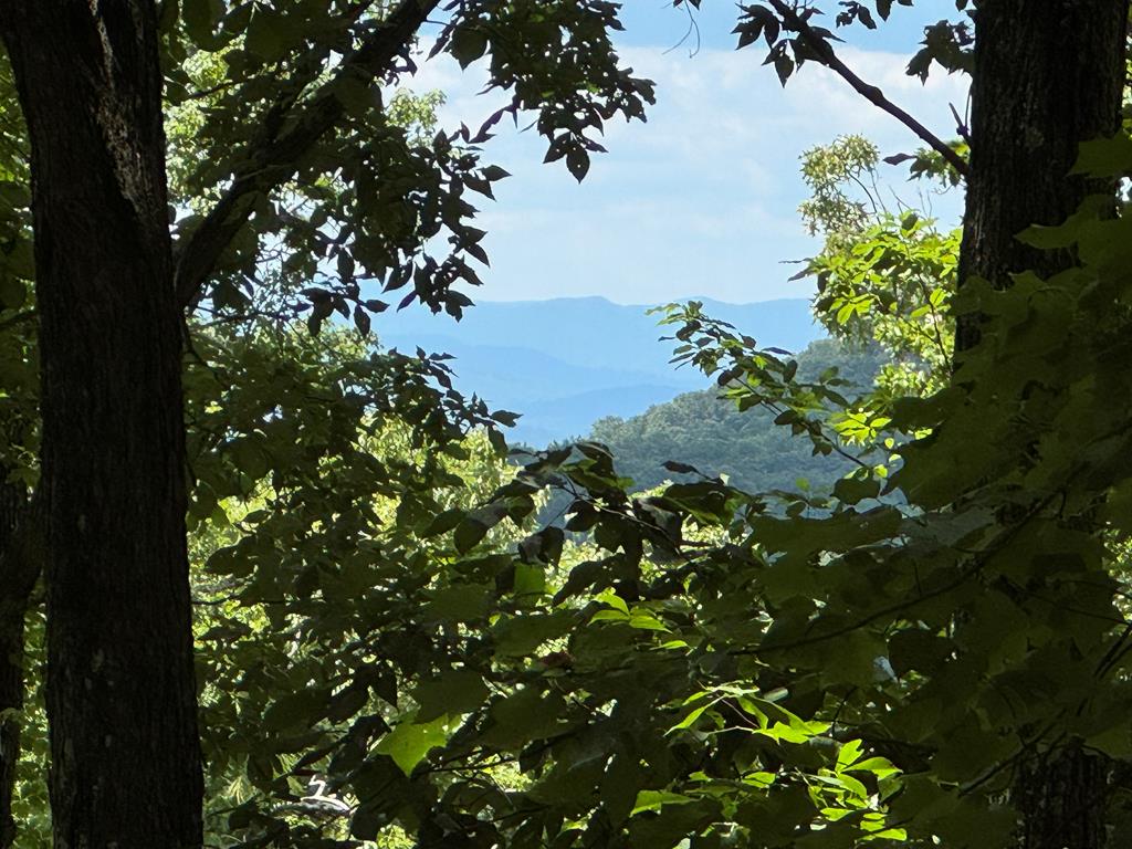 Lot 38 Picklesimer Mtn, For Sale in Morganton - eXp Realty
