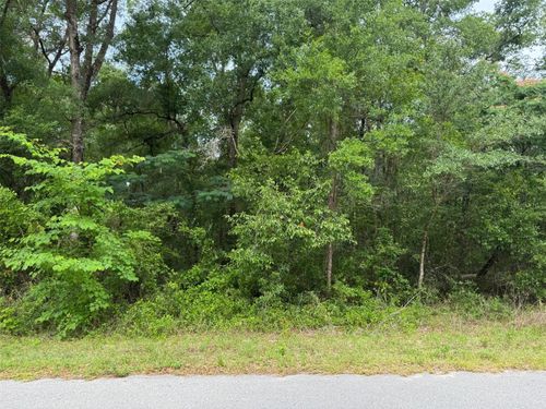 Lot 14 Sw Channel Heights Ct, Dunnellon, FL, 34431 | Card Image