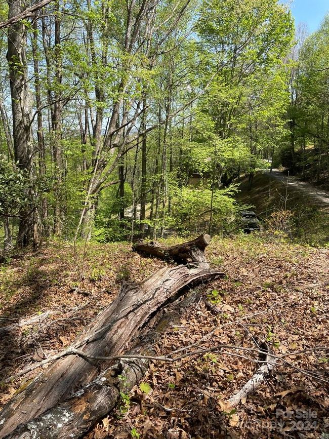 0000 Cawood Ln, Home with 0 bedrooms, 0 bathrooms and null parking in Clyde NC | Image 13