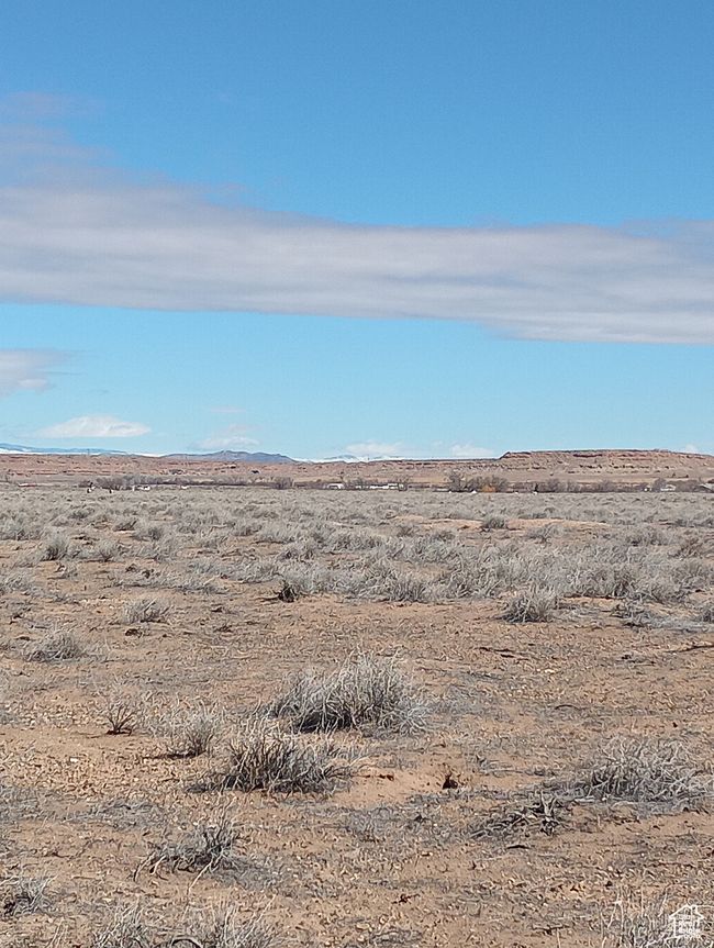 View of local wilderness featuring a desert view | Image 6