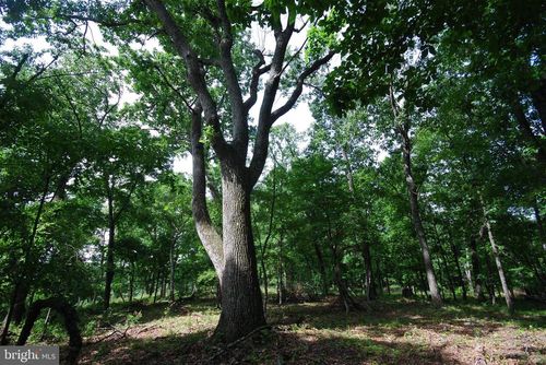Lot 70 &amp; 71 Mill Mountain Road, Romney, WV, 26757 | Card Image